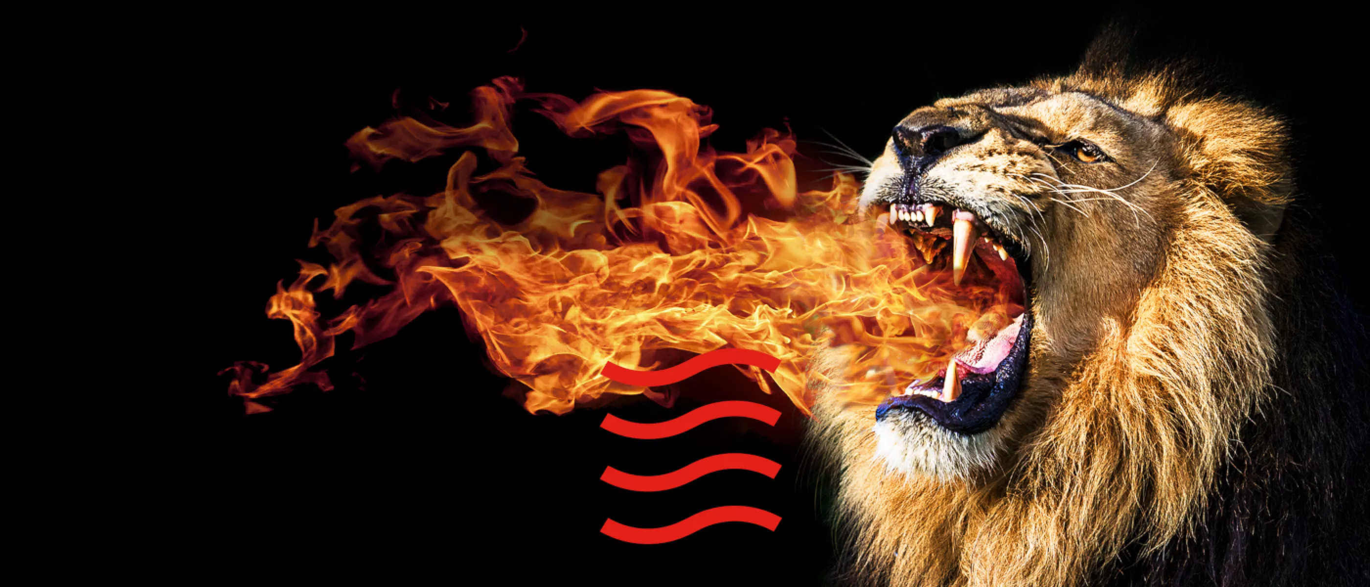 Fire breathing lion banner